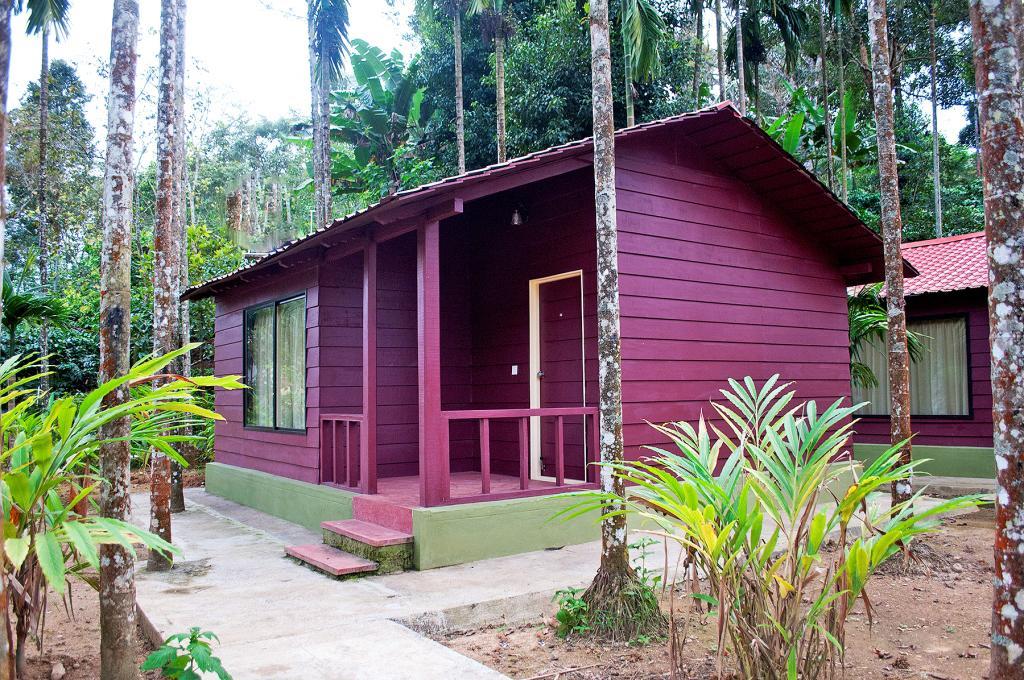 La Flora Prakruth Resort Coorg Madikeri Extérieur photo