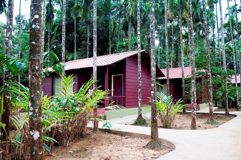 La Flora Prakruth Resort Coorg Madikeri Extérieur photo
